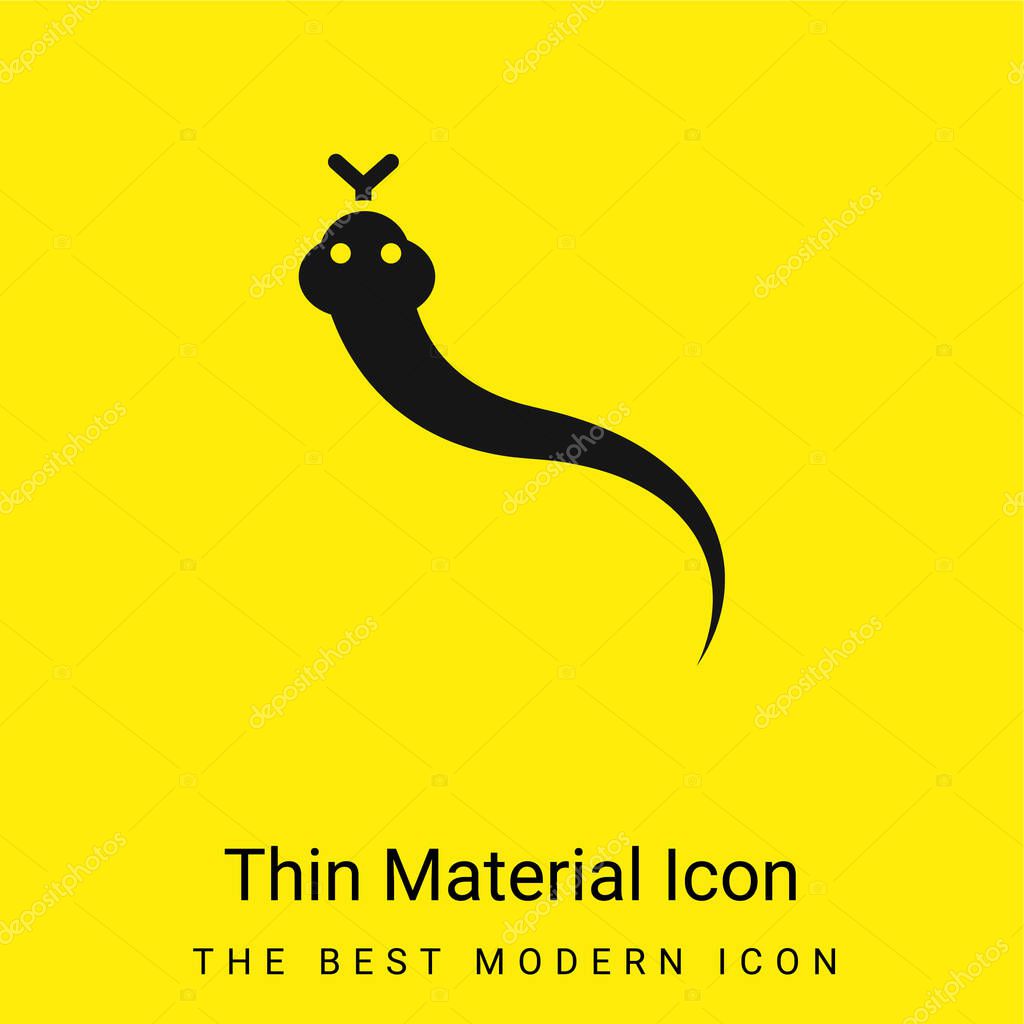Animal minimal bright yellow material icon
