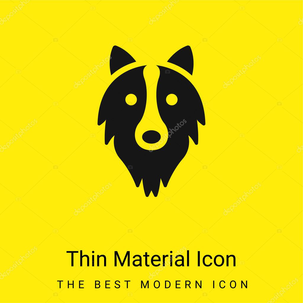 Border Collie Head minimal bright yellow material icon
