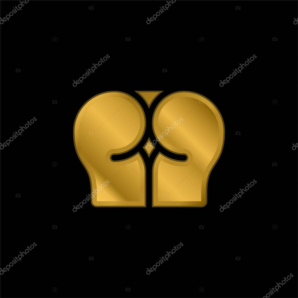 Anal gold plated metalic icon or logo vector