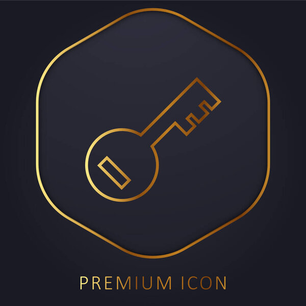 Account PassKey golden line premium logo or icon
