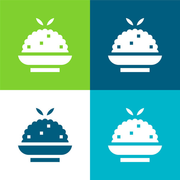 Biryani Flat four color minimal icon set