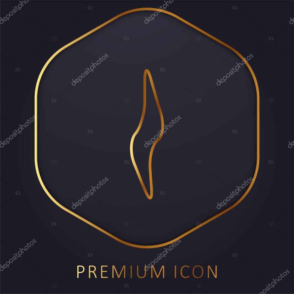 Beam Electricity golden line premium logo or icon