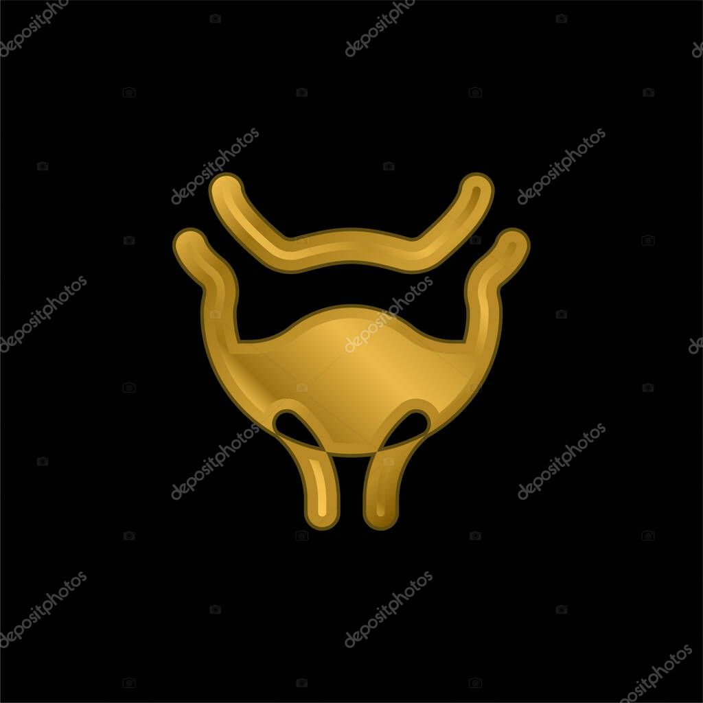 Bladder gold plated metalic icon or logo vector