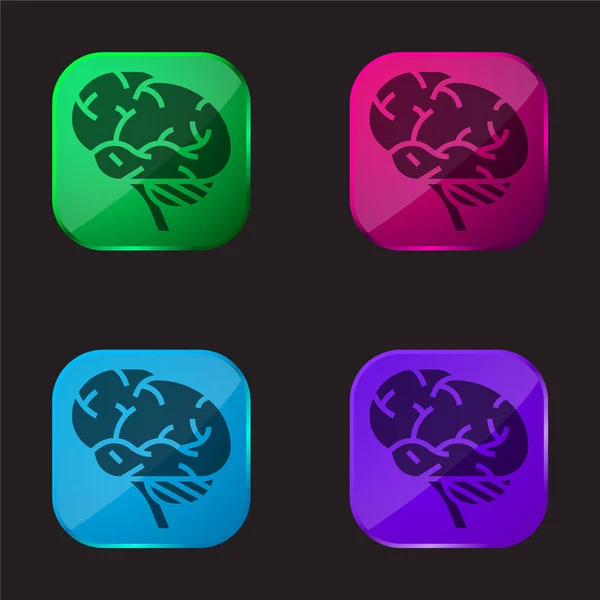 stock vector Brains four color glass button icon