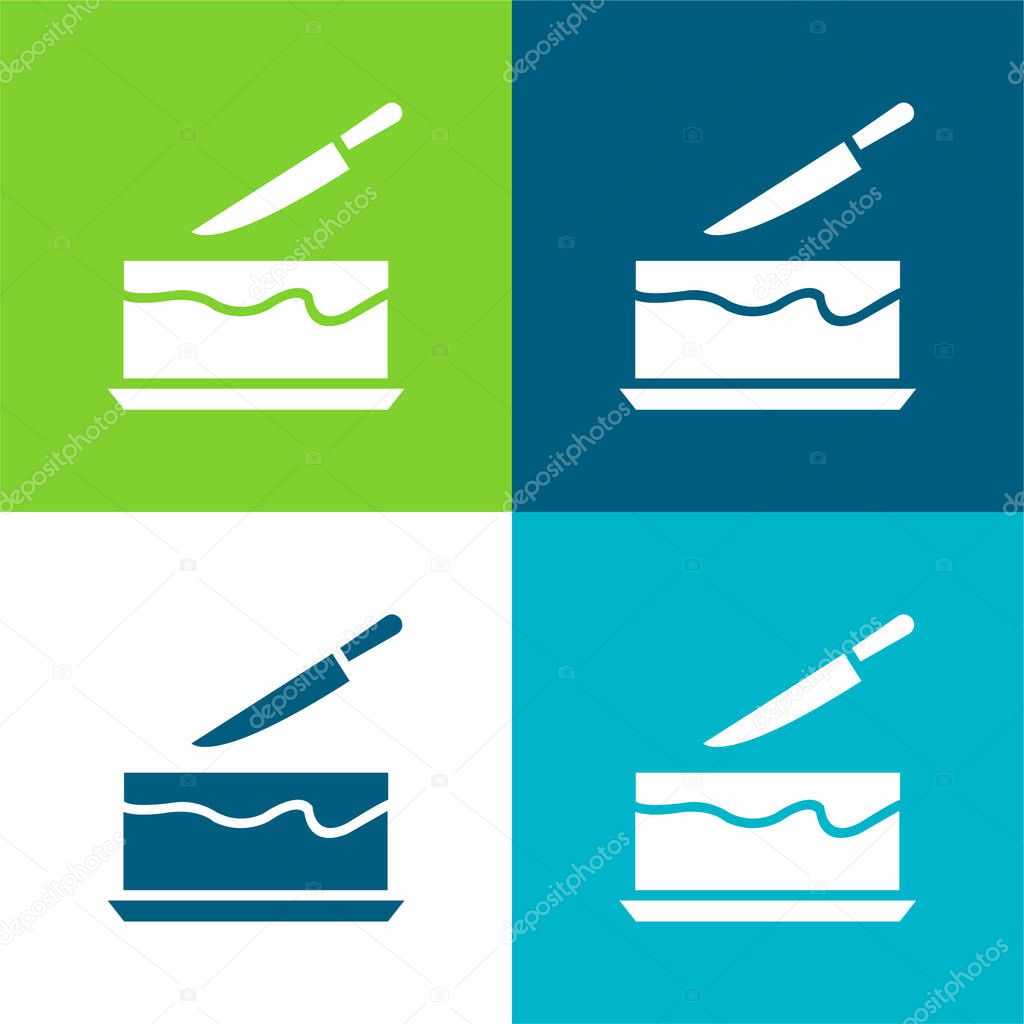 Birthday Cake Flat four color minimal icon set