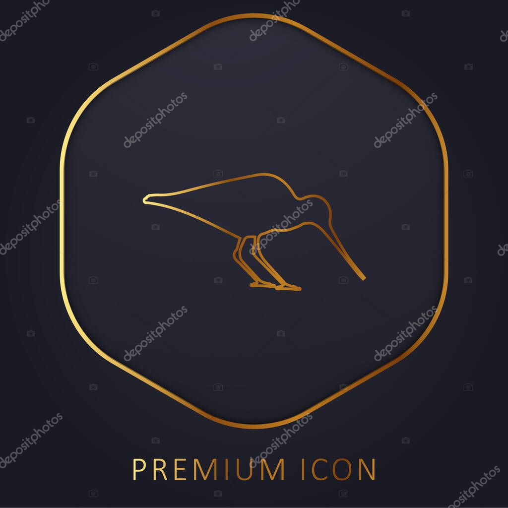 Bird Oystercatcher golden line premium logo or icon