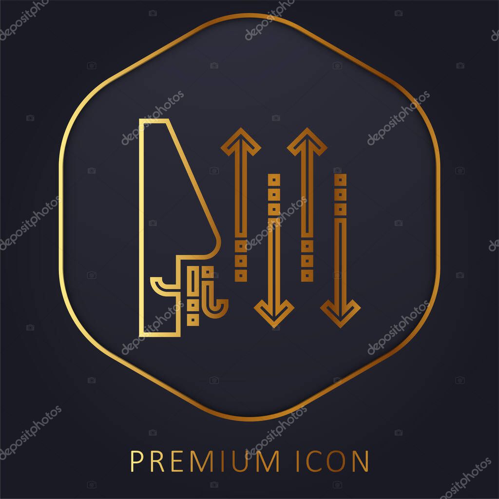 Breathing golden line premium logo or icon