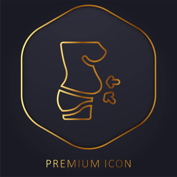 Belly golden line premium logo or icon