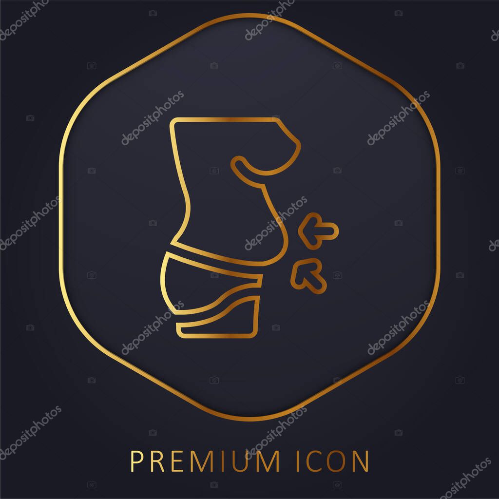 Belly golden line premium logo or icon
