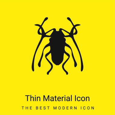 Böcek Böceği Trictenotomidae en az parlak sarı madde simgesi