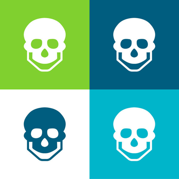 Big Skull Flat four color minimal icon set