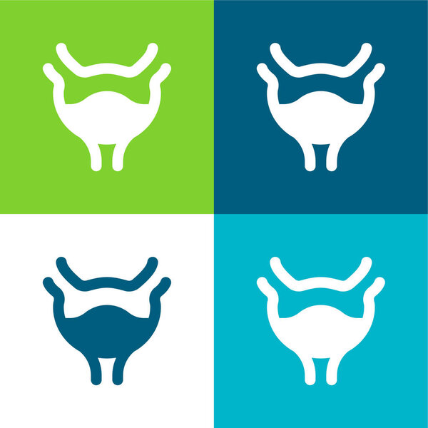 Bladder Flat four color minimal icon set