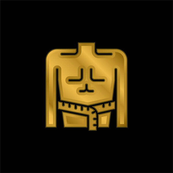 Body Mass gold plated metalic icon or logo vector