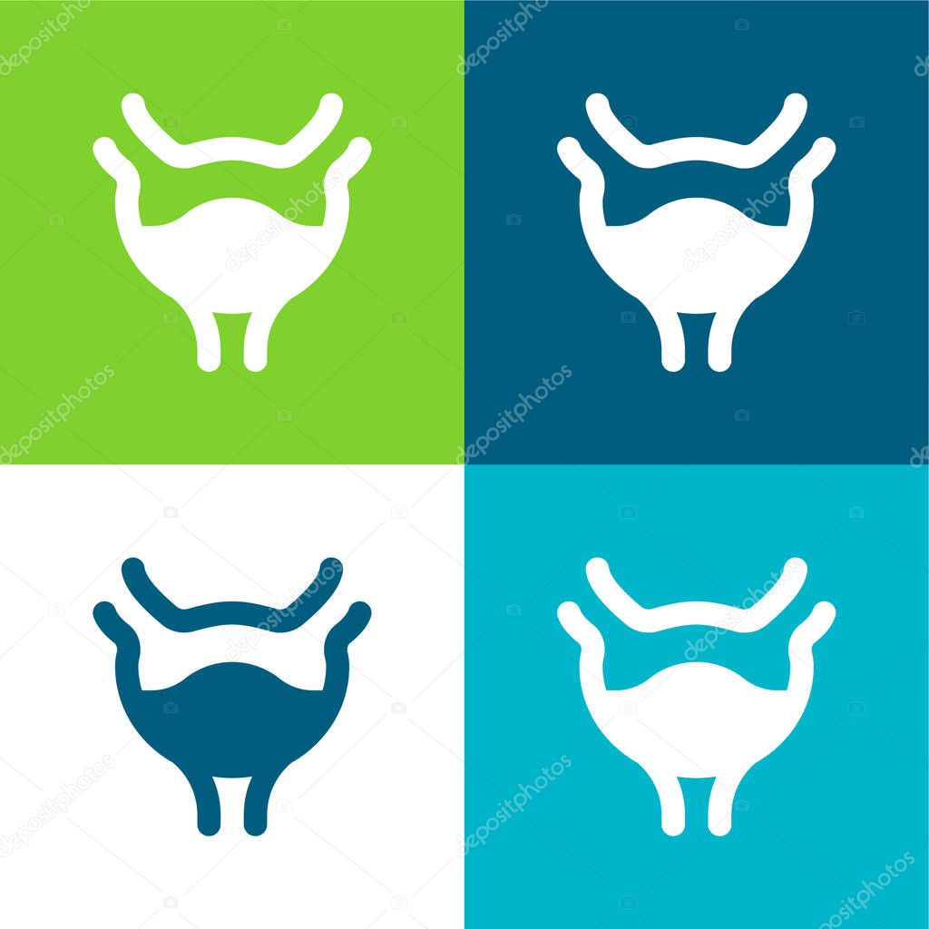 Bladder Flat four color minimal icon set