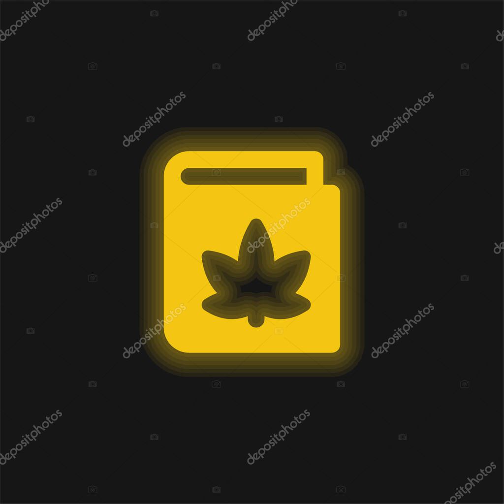 Book yellow glowing neon icon