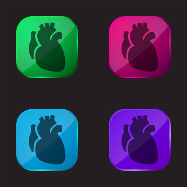 Anatomic Heart four color glass button icon clipart