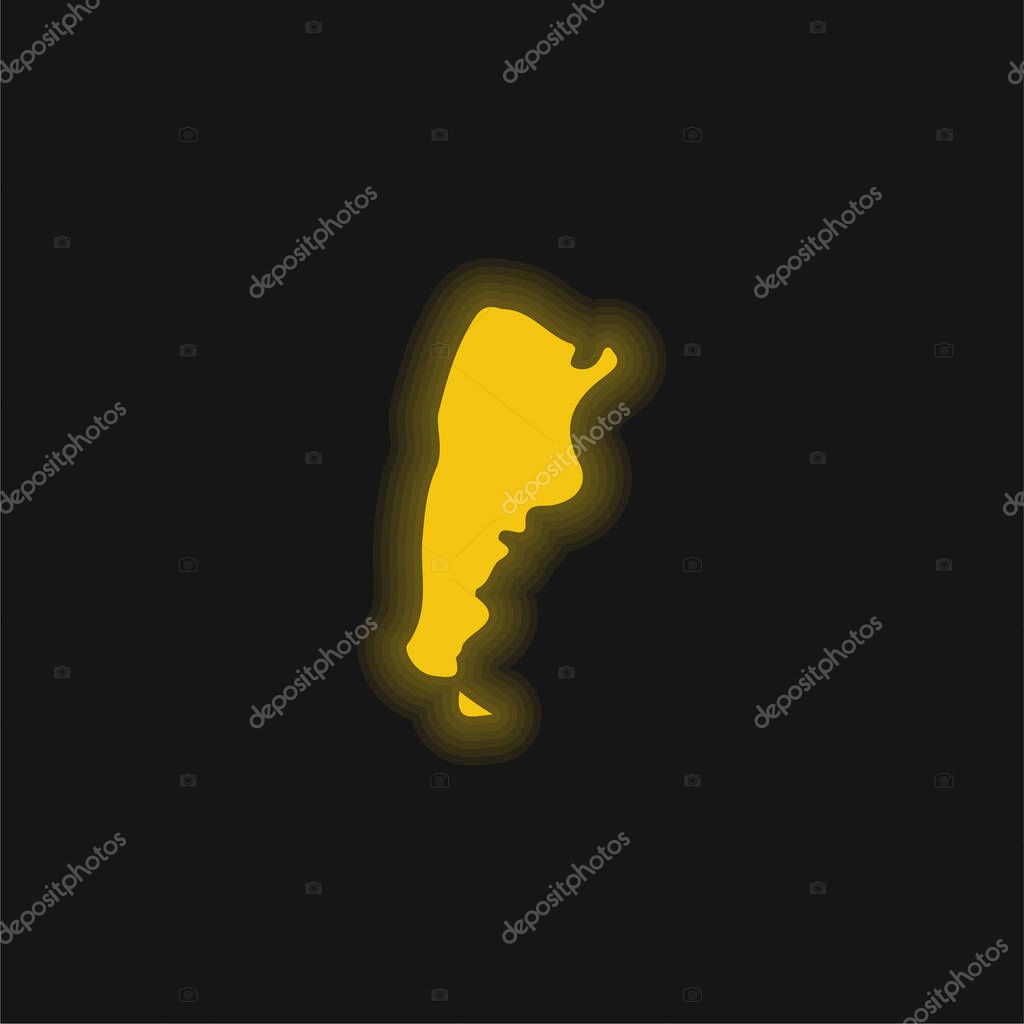 Argentina yellow glowing neon icon