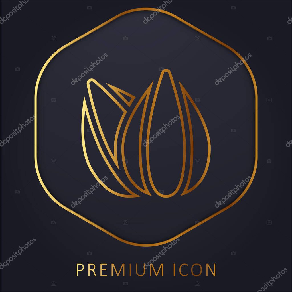 Almond golden line premium logo or icon