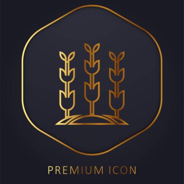 Tarım altın çizgisi prim logosu veya simgesi