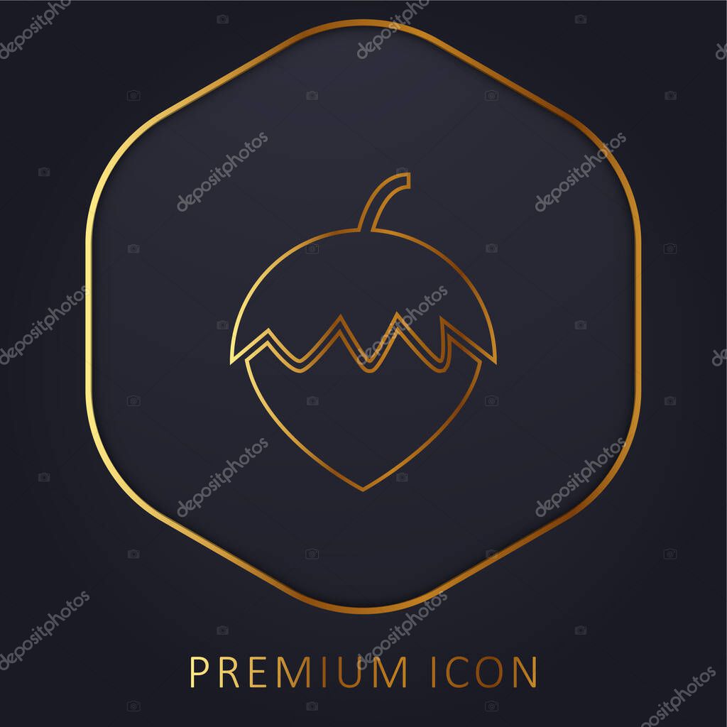 Acorn golden line premium logo or icon