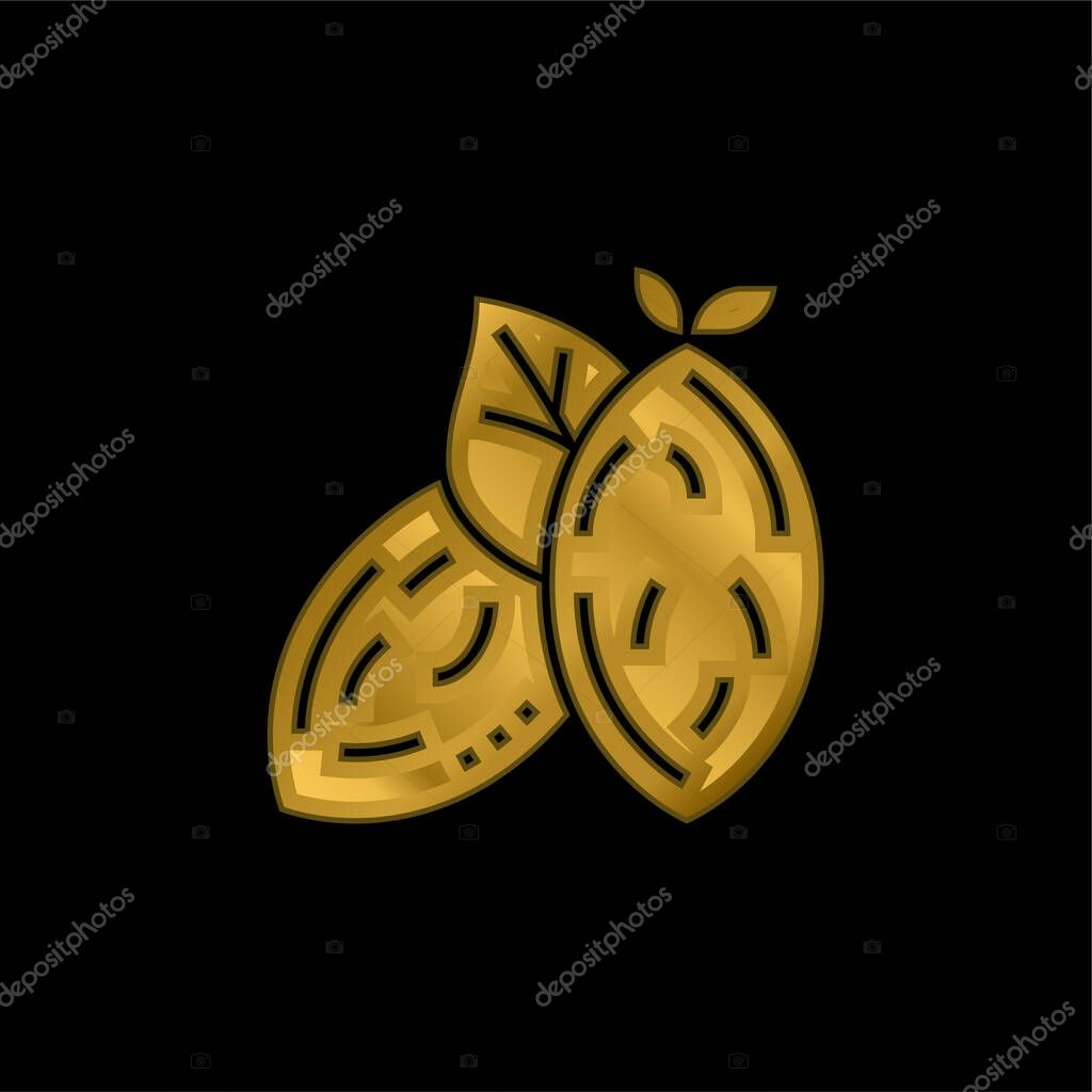 Almond gold plated metalic icon or logo vector
