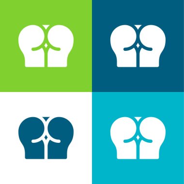 Anal Flat four color minimal icon set clipart