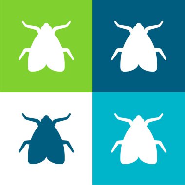 Big Fly Flat four color minimal icon set clipart