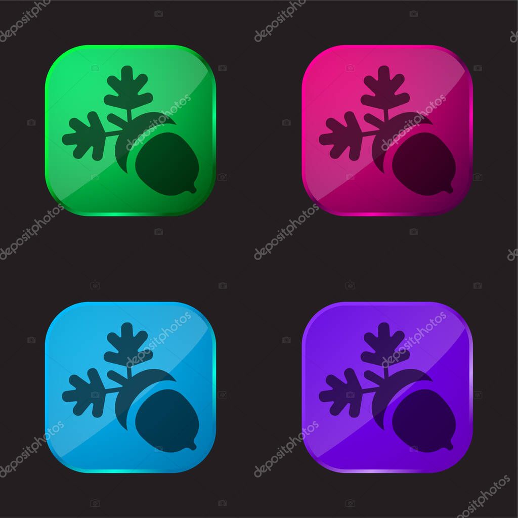 Acorn four color glass button icon