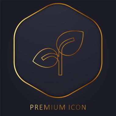 Altın çizgi prim logosu veya simgesi