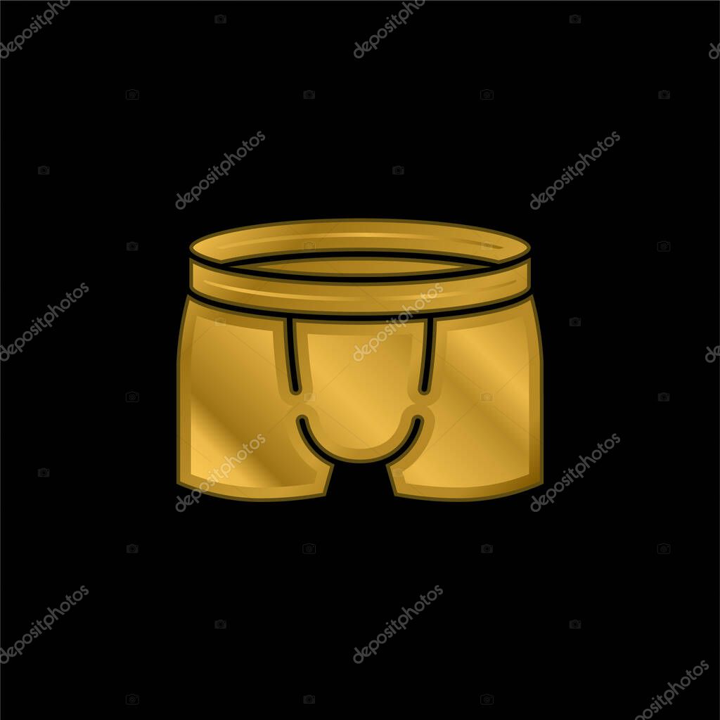Boxers gold plated metalic icon or logo vector