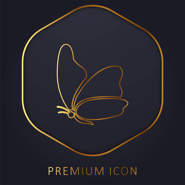 Big Wing Butterfly Golden Line Premium Logo Icon — Stock Vector
