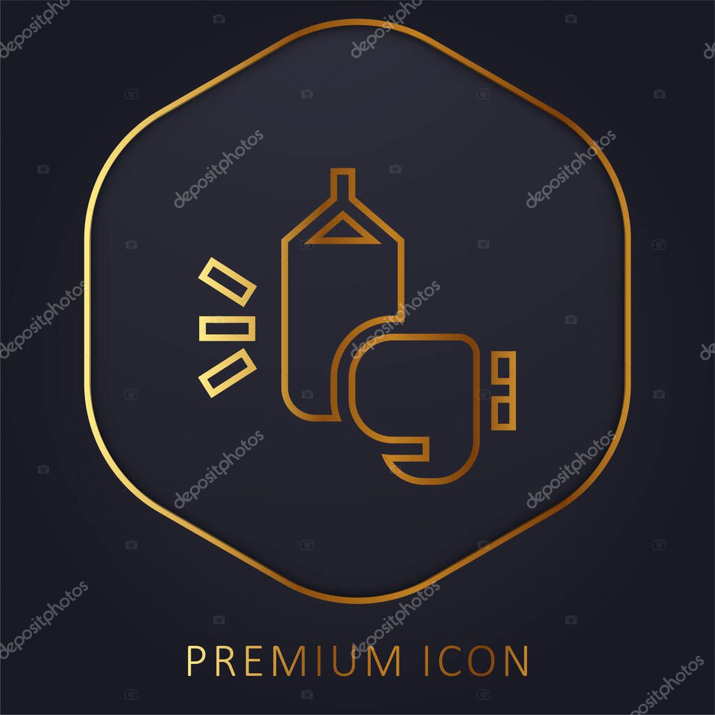 Boxing golden line premium logo or icon