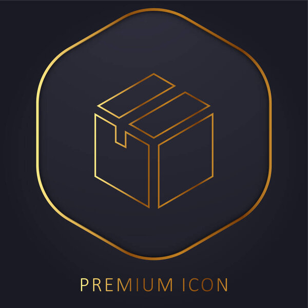 Box golden line premium logo or icon