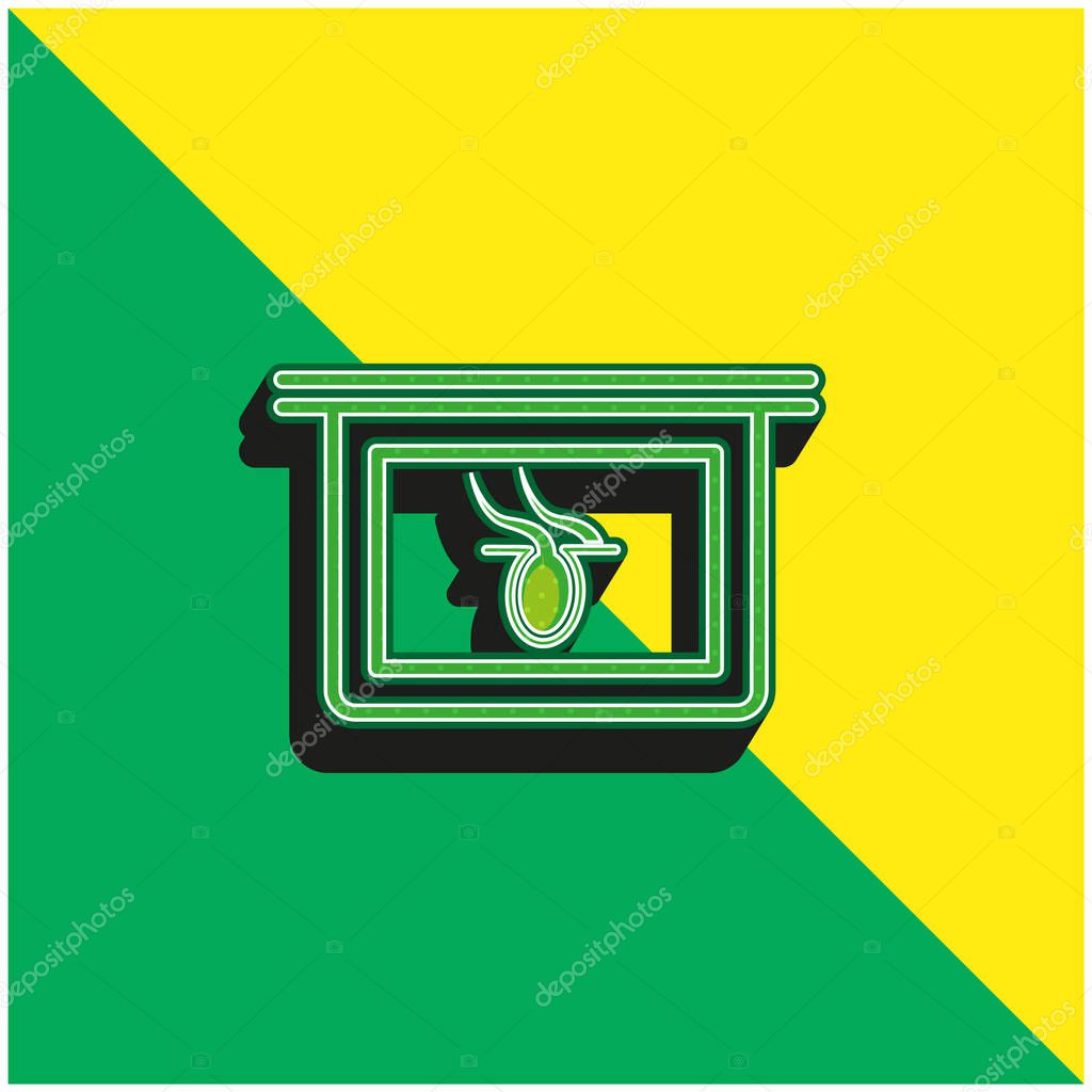 Body Part X Ray Internal Vision Green and yellow modern 3d vector icon logo