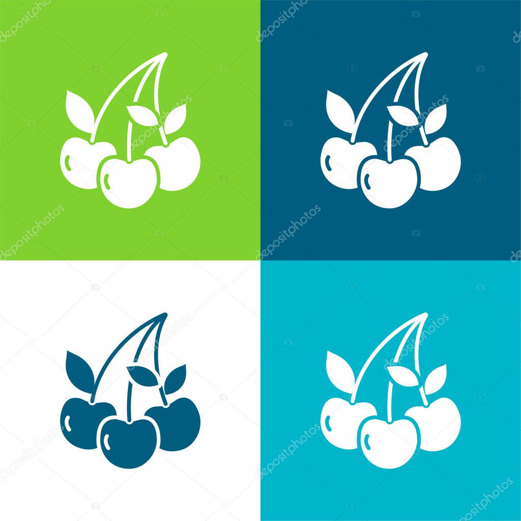 Berry Flat four color minimal icon set