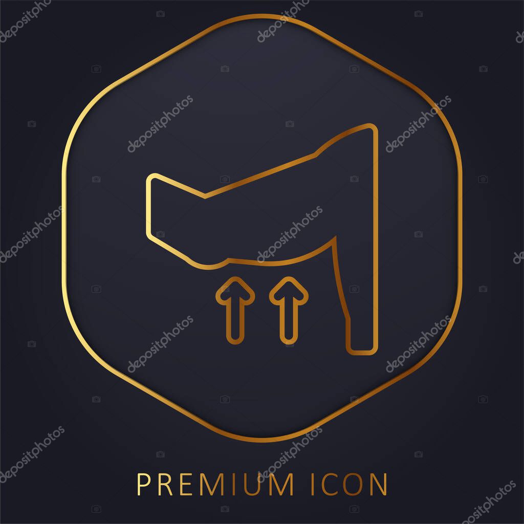 Arm golden line premium logo or icon