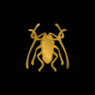 Böcek Trictenotomidae altın kaplama metalik ikon veya logo vektörü