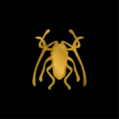 Beetle Insect Trictenotomidae gold plated metalic icon or logo vector clipart