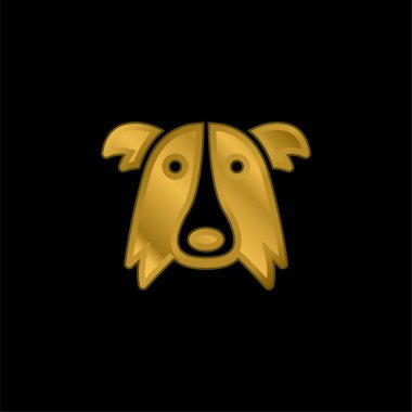 Sınır Collie Köpek Başı Altın kaplama metalik simge veya logo vektörü