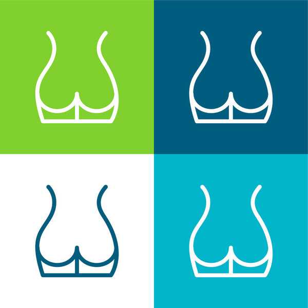 Back Part Of The Body Showing Butt Area Flat four color minimal icon set