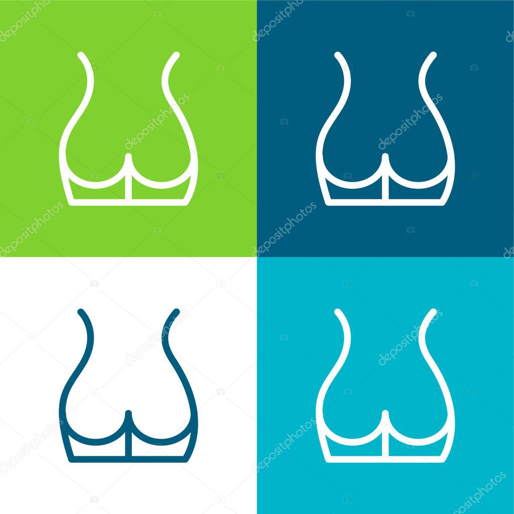 Back Part Of The Body Showing Butt Area Flat four color minimal icon set