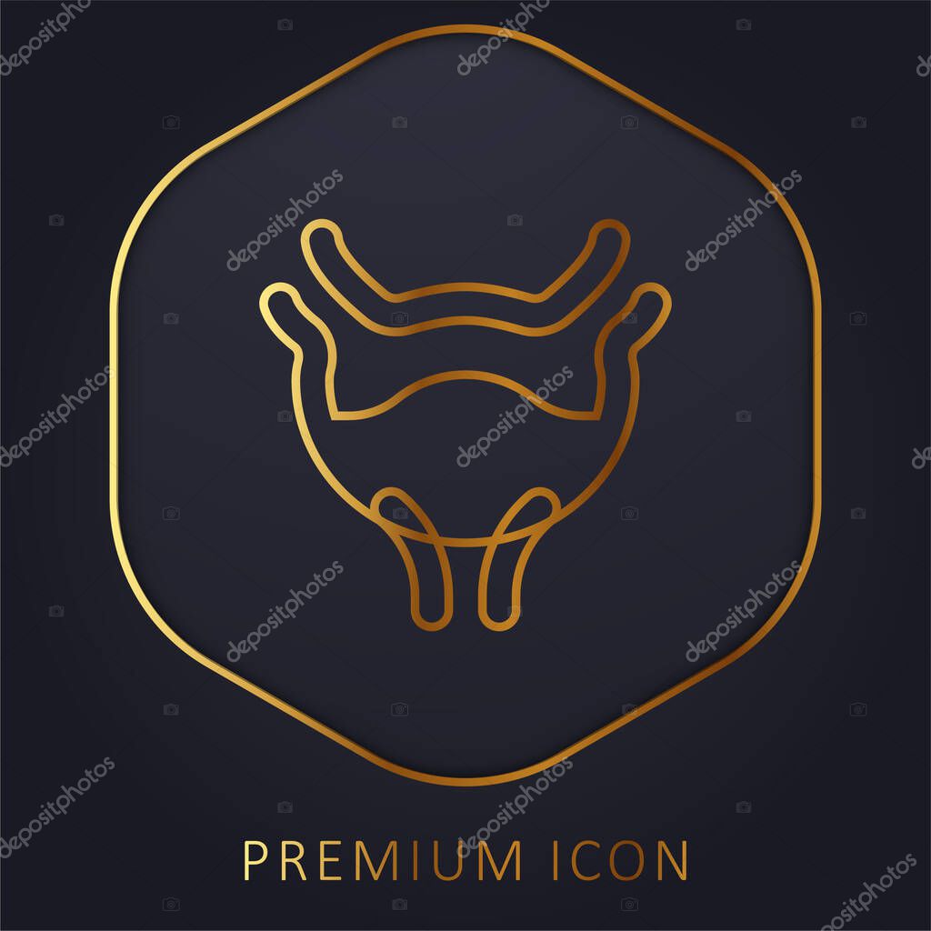 Bladder golden line premium logo or icon