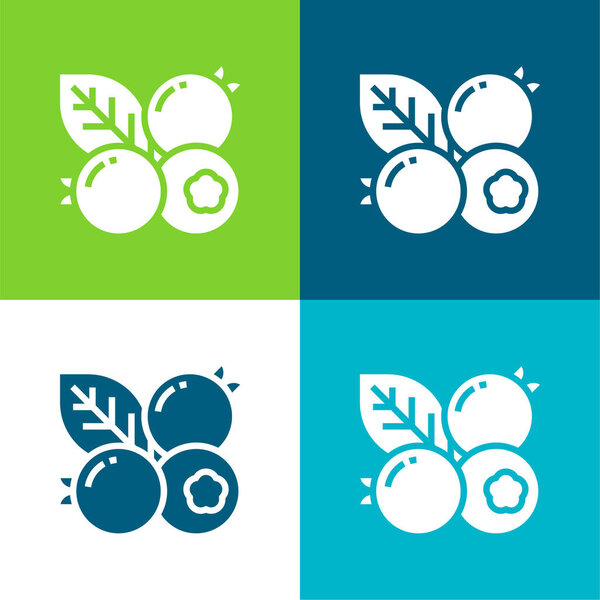 Blueberry Flat four color minimal icon set
