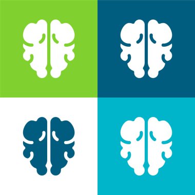 Beyin Düzlüğü 4 renk en küçük simge kümesi