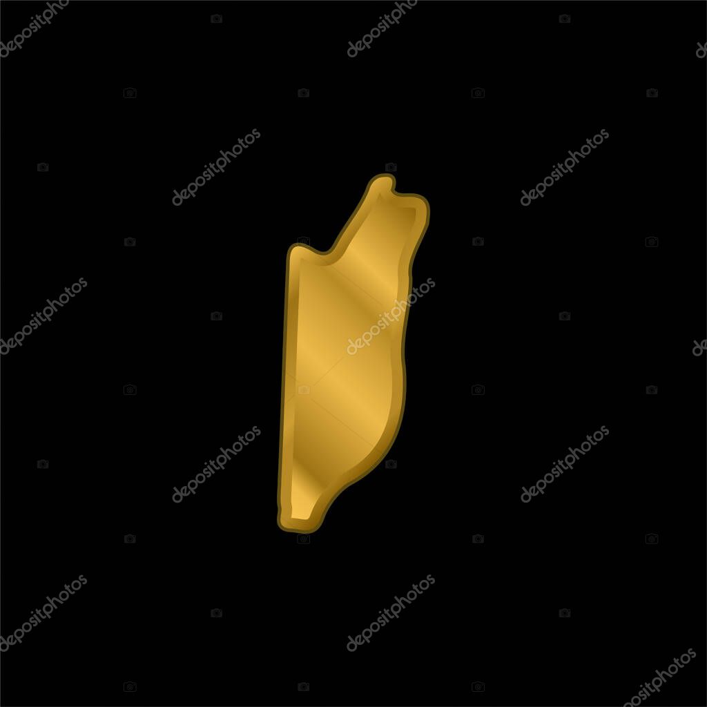 Belize gold plated metalic icon or logo vector