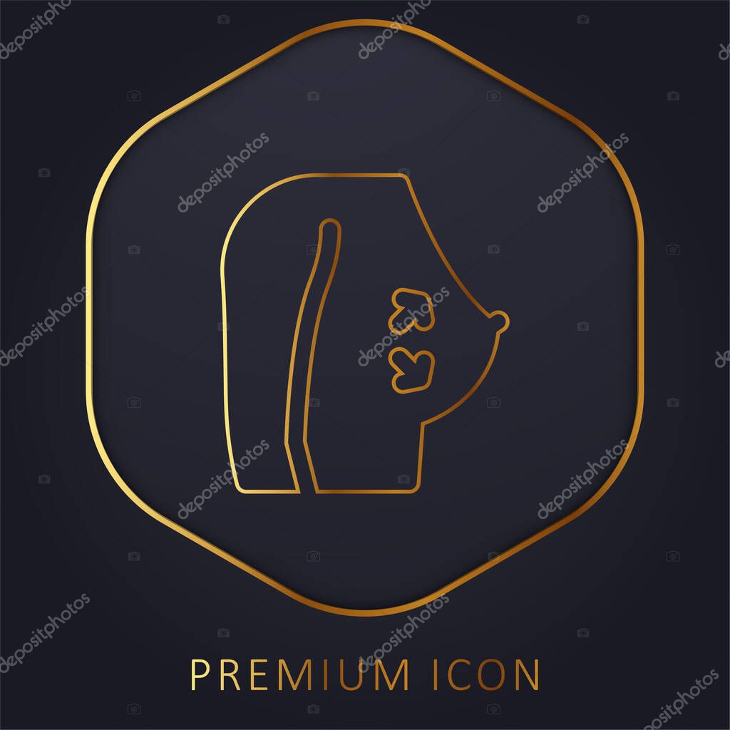 Breast golden line premium logo or icon