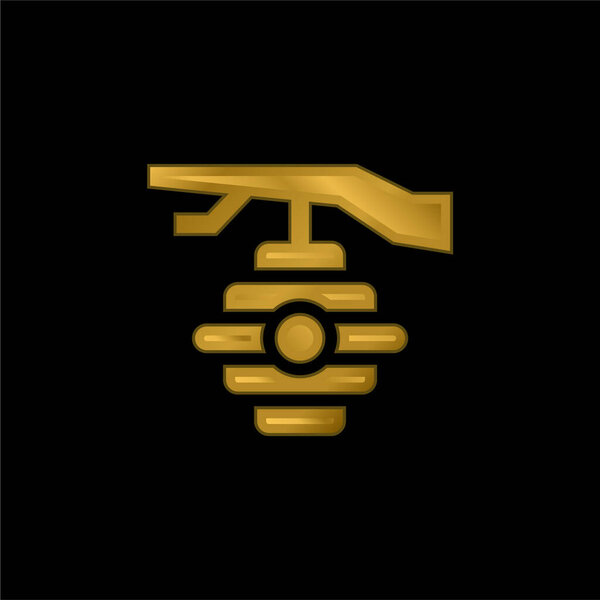 Beehive gold plated metalic icon or logo vector