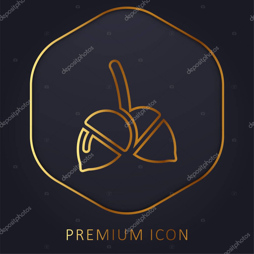 Acorn golden line premium logo or icon