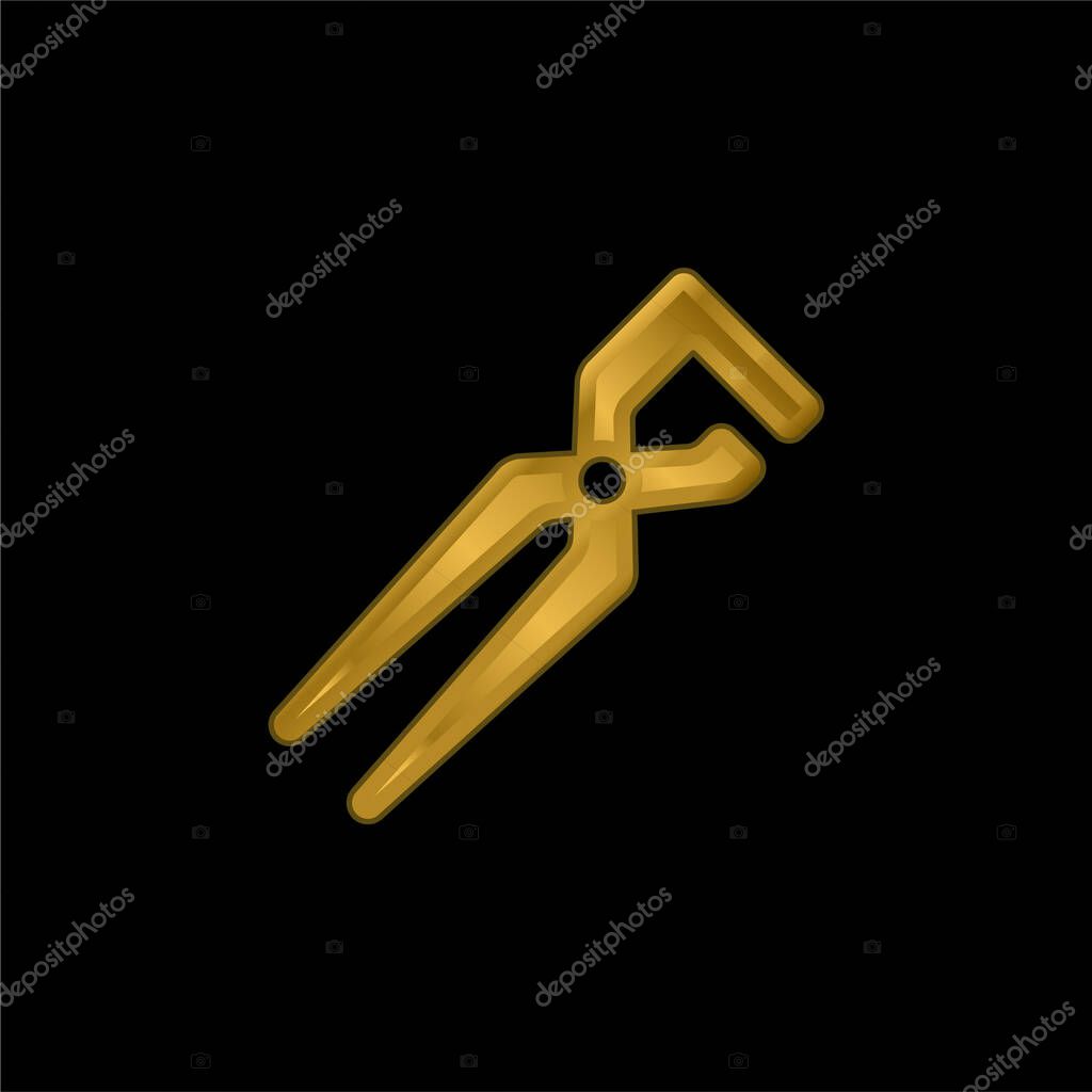 Big Clippers gold plated metalic icon or logo vector