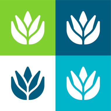 Aloe Vera Düz 4 renk en küçük simge seti